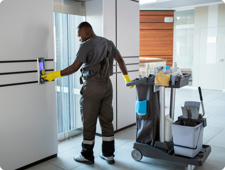 Professional cleaning service